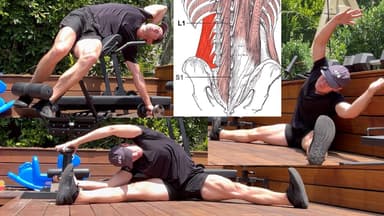 QL (Quadratus Lumborum)