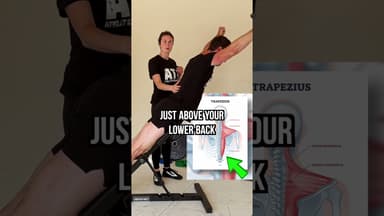 Big 8 For The Lower Back