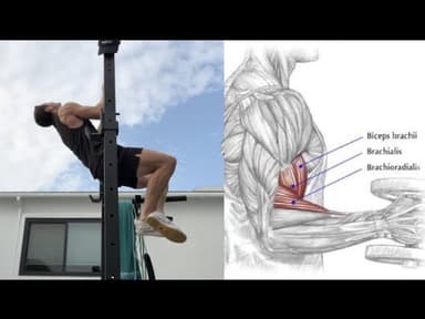 Brachialis Chin-Up (Close-Grip Overhand Lean Away Chin-Up)