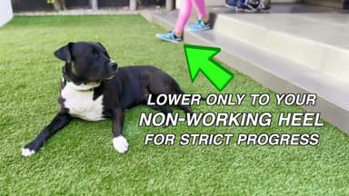 Patrick Step Up - Women of ATG Program