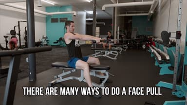 Face Pulls & band pull apart app 6 16