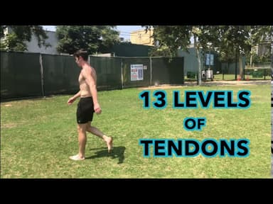 Levels of Tendons (no subtitles)