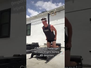 The Cheetah Nordic Challenge