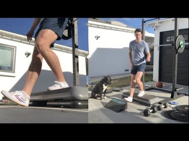 DENSE STRENGTH Reverse Step Ups