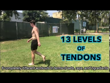 The 13 Levels of Tendons