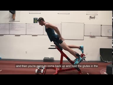 Single Leg Back Extension Standard