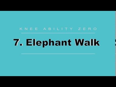Knee Ability Zero: Step 7: Elephant Walk