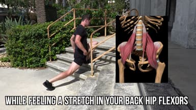 BAZ  ATG Split Squat